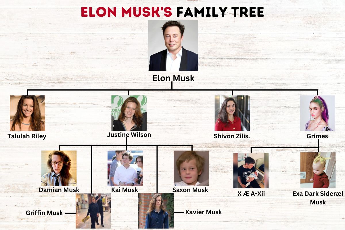 Elon Musk's Family Tree