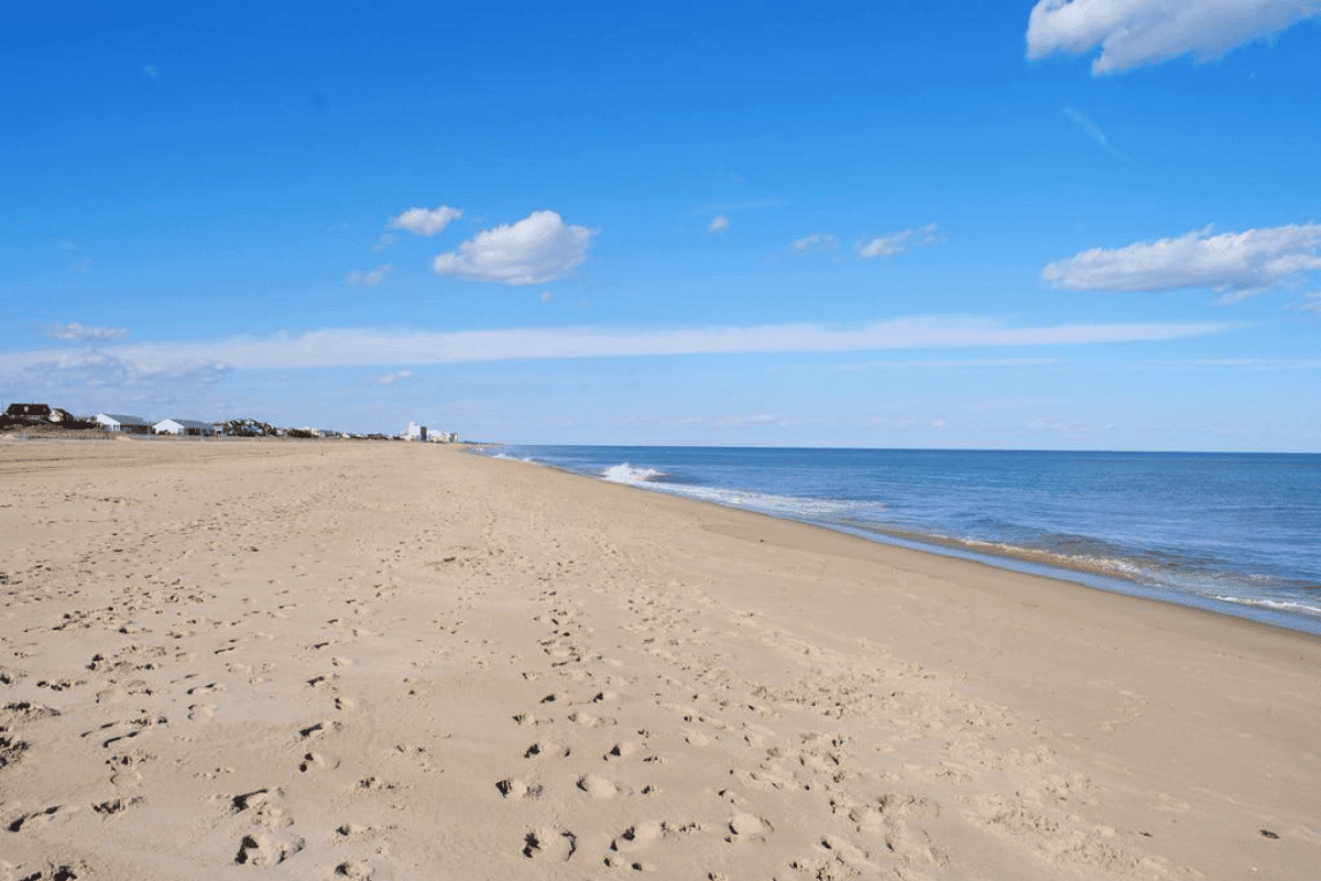 beaches of delaware