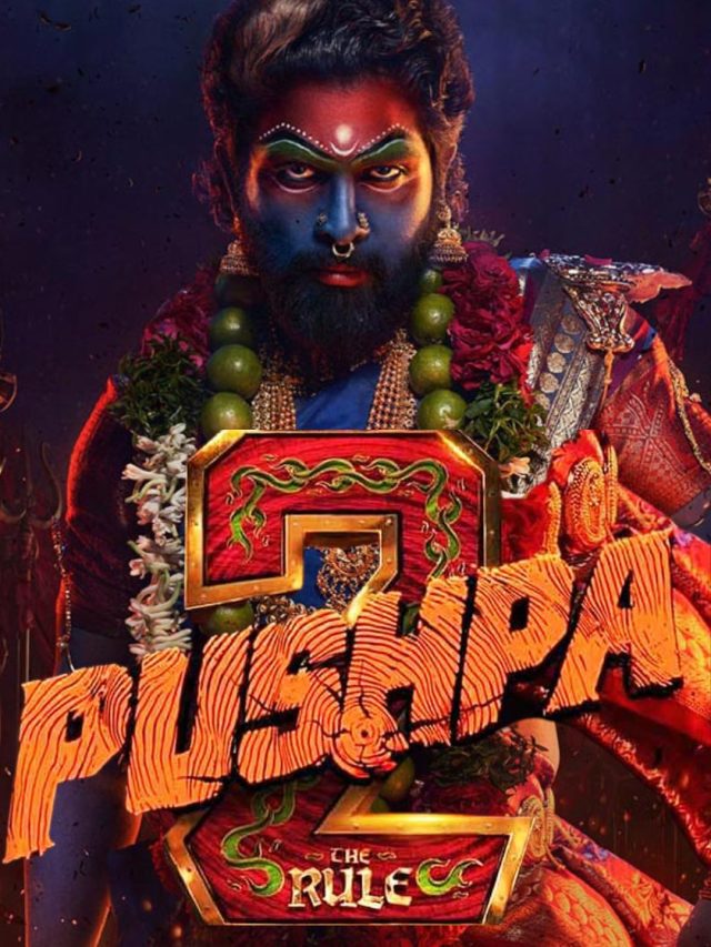 pushpa 2 cover