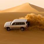 safari desert
