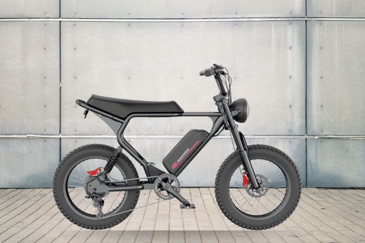 Long Range Electric Bike