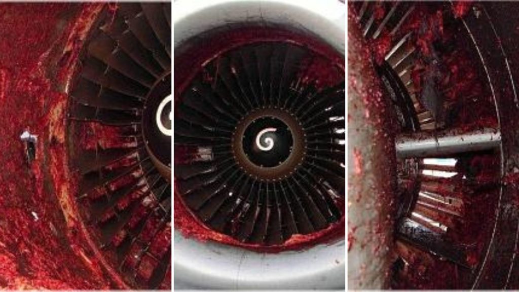 Sucked Into a Plane Engine Video
