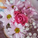 From Seeds to Empowerment: Women in Horticulture and Gardening