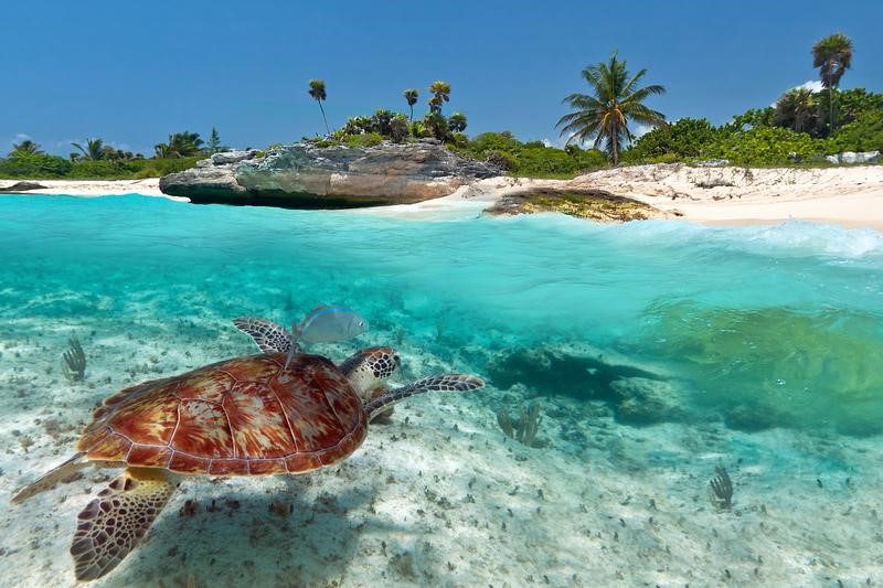 Sustainable Tourism