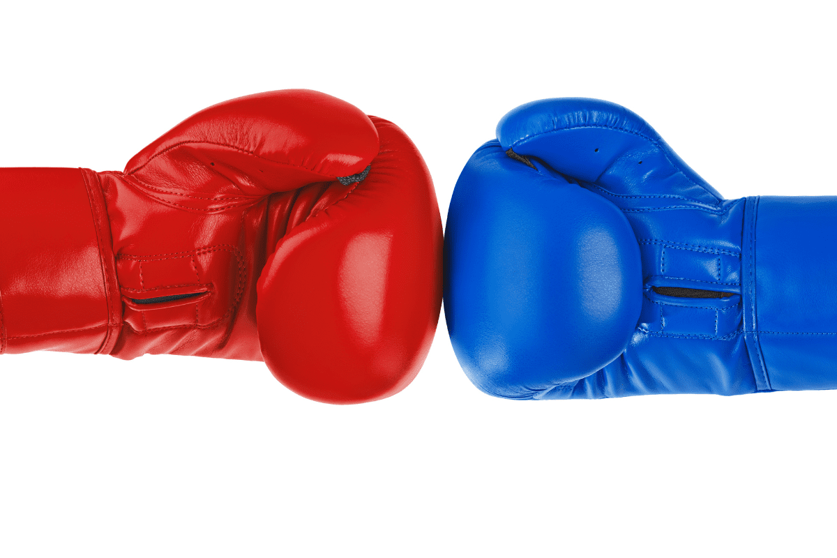 Best Boxing Gloves for Beginners