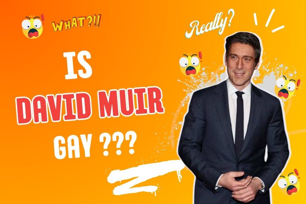 David Muir Gay