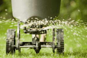 spread fertilizer