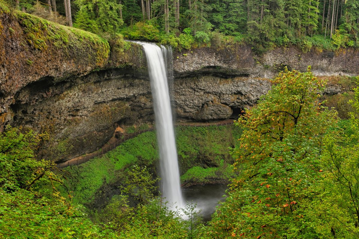 Silver Falls State Park