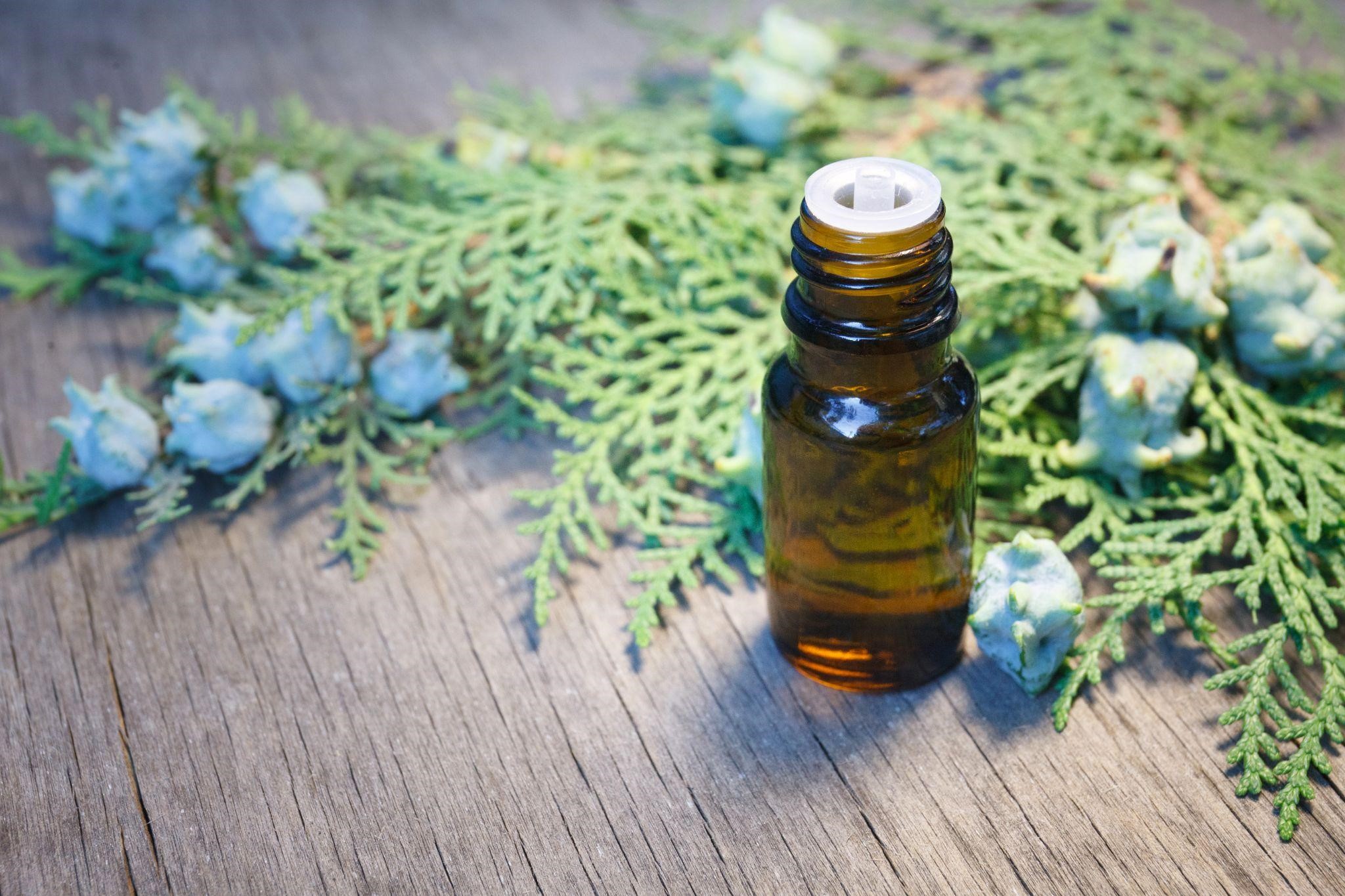 thuja essential oil