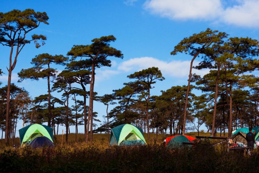 Camping Sites