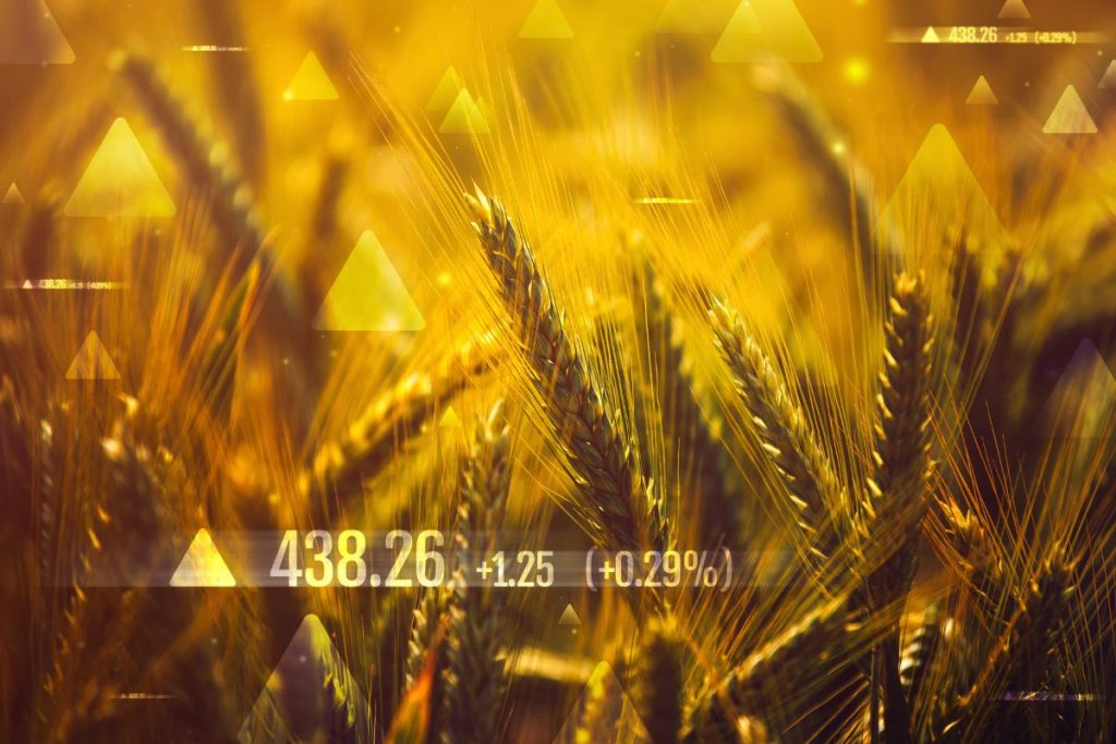 Roman Zenon Dawidowicz - Agricultural Commodity Trading