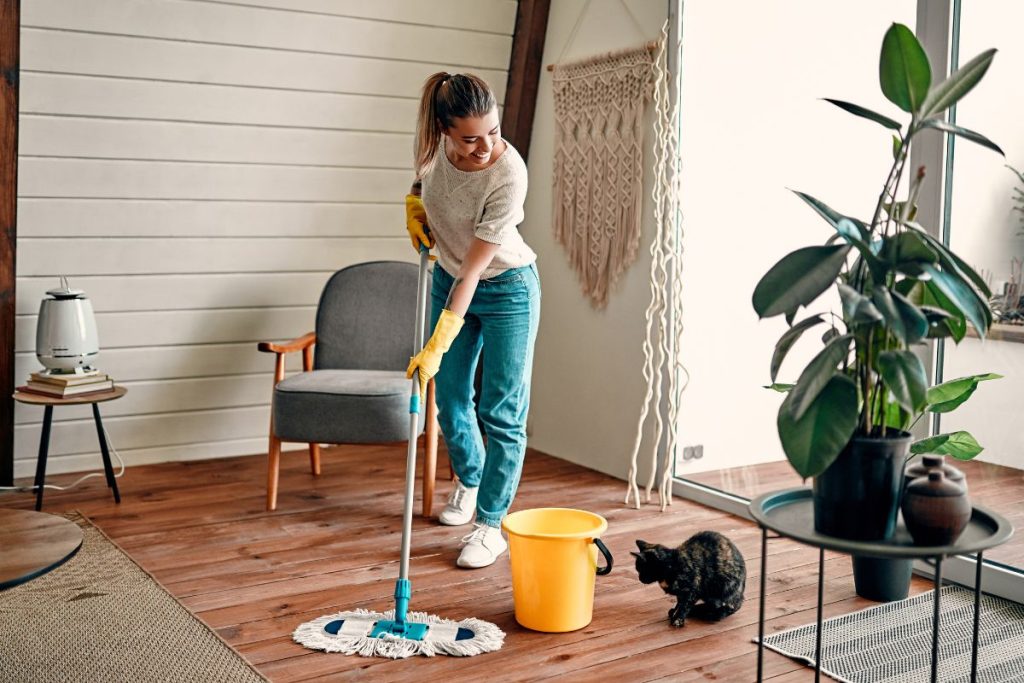 House Cleaning Mistakes