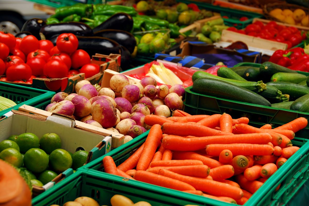 Vegetable Distributor