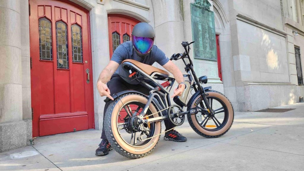 Adult Electric Bike