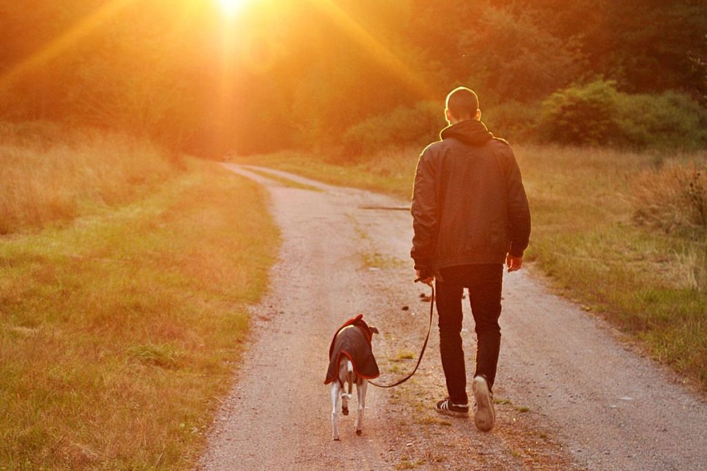 True Stories of Dogs