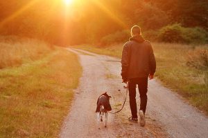True Stories of Dogs