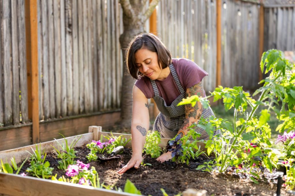 Home Gardening for Beginners