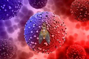 Cicada COVID-19 New Variant