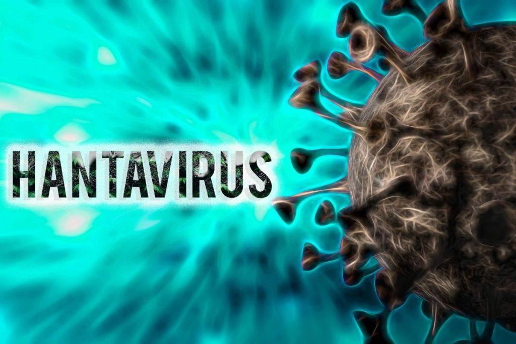 hantavirus symptoms