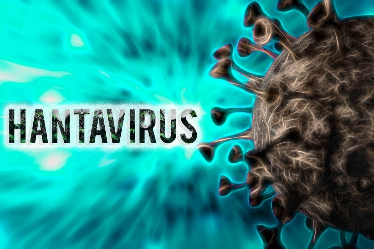 hantavirus symptoms